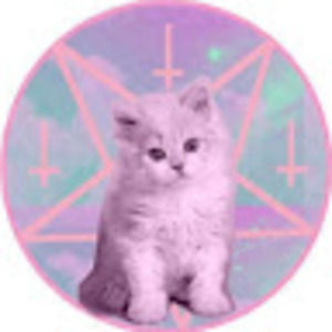 Meet your Posher, Kit